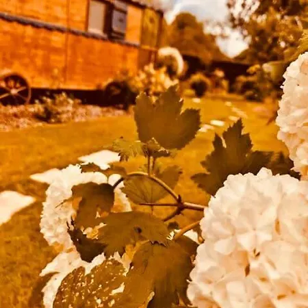 Les Roulottes De La Basse Maunerie